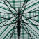 Umbrella - a semiautomatic “cage” cane, 8 spokes, r = 54 cm, the color is transparent/emerald