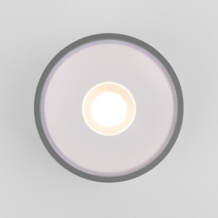 Ceiling light Elektrostandard, Light Led 12 W, 113x1113x52 mm, IP65, gray color-1