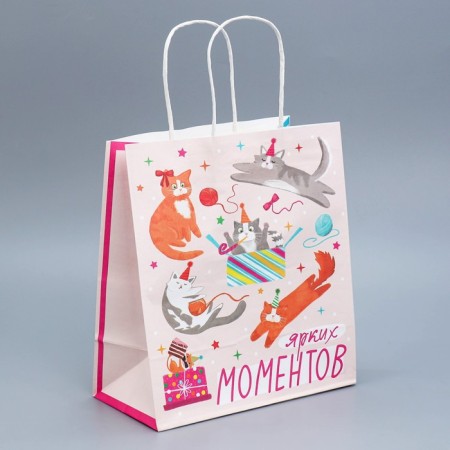 Gift Crafts, Packaging, "Party", 22 x 25 x 12 cm-1