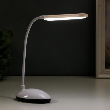Lamp table sensor "School" 3 modes LED 6W USB MIX 11x6.5x37cm Risalux-1