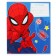 Notebook in a ruler of 12 sheets, 5 types of mix, cover coated cardboard, spider-man