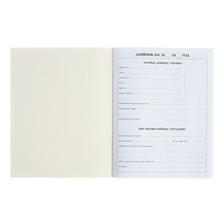 Universal diary for grades 1-11, "Anime Girl", soft cover, 40 sheets-6