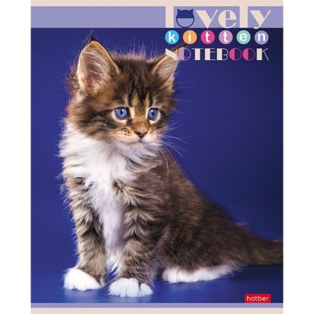 A notebook of 60 sheets in a cage, "everyone loves cats", covering a shared cardboard, an offset block 65g/m2, 5 species, mix-1