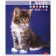 A notebook of 60 sheets in a cage, "everyone loves cats", covering a shared cardboard, an offset block 65g/m2, 5 species, mix