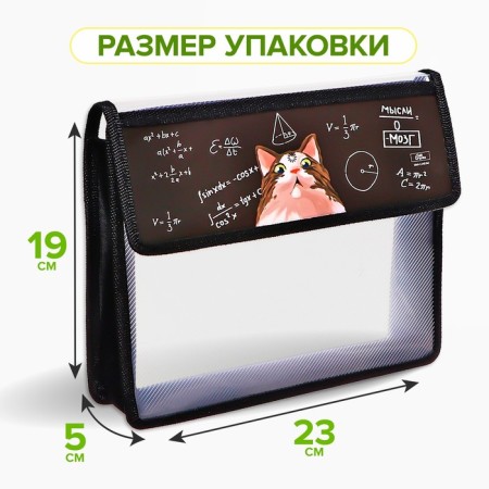 A5 notebook folder (230 x 190 x 50 mm), with Velcro valve, plastic/textiles, calligrata, "smart cat"-1