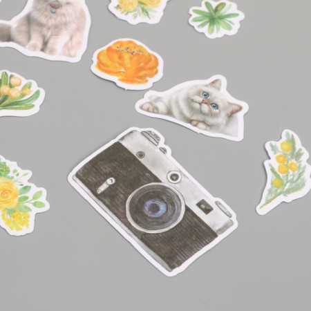 Stickers for creativity "Cats, yellow flowers and photos" 3.5x5 cm set 40 pcs 9.4x8.4x0.5 cm-1