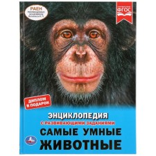 A4 Encyclopedia 