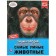 A4 Encyclopedia "Most Smart Animals"