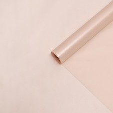 Paper 