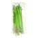 Calligrata Puncher "Bamboo Bear", Geli, Mix