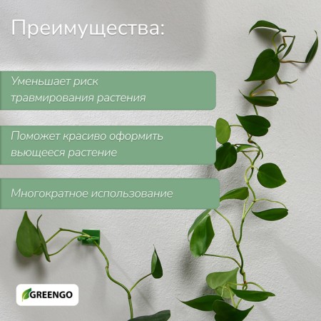 Fasteners for climbing plants, d = 20 mm, color mix, Greengo-1