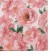 Two -layer paper napkins, 33x33 cm, set 20 pcs.