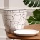 Pot floral illusion white 5 l