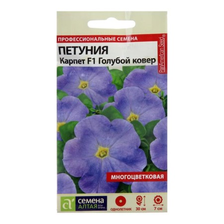 Flowers of Petunia Carpet "Blue Carpet", this. ALT, c/n, 10 pcs