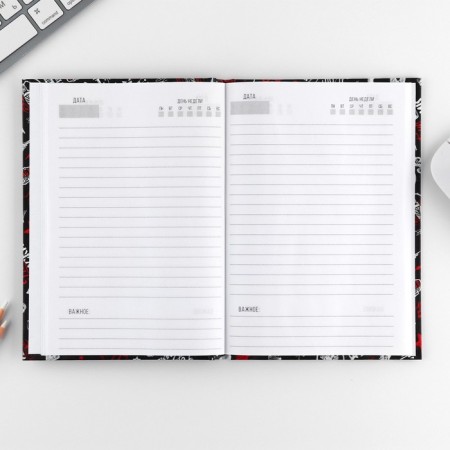 Gift set "February 23": Diary 80 sheets and pen-3