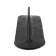Keel fin is small, black color