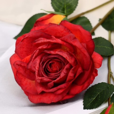 Artificial flowers "Rosa Izsk" 10x64 cm, red-1