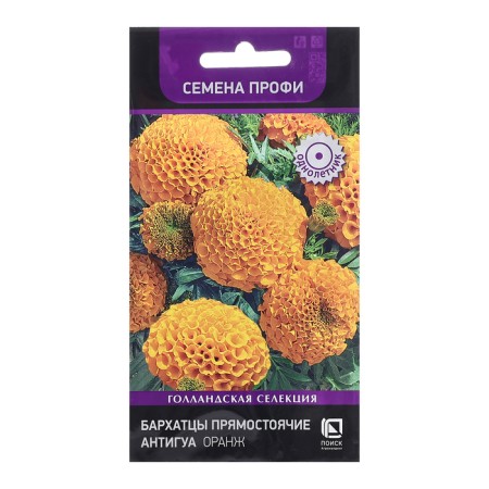 Flower seeds marigolds erect "Antigua Orange", 15pcs