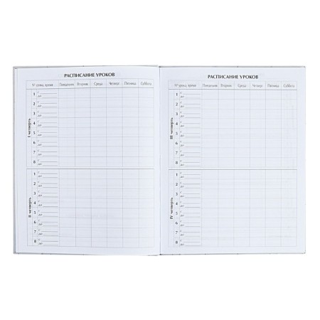 Diary for grades 5-11 "Modern Web. Anonymity", solid cover, matte lamination, selective varnish, 48 sheets-5