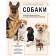 Dogs. Illustrated guide on the most popular breeds. Yavorskaya-Mileshkina E.V.