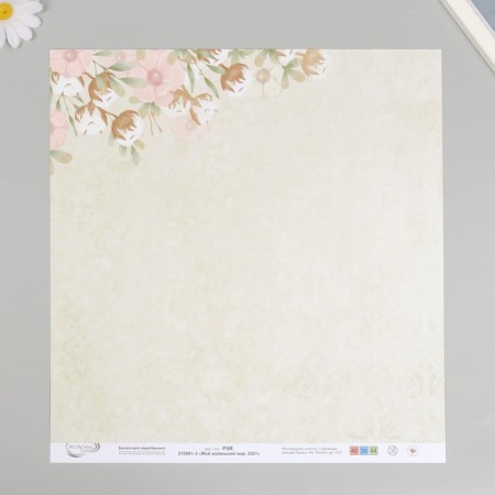 Scrapbooking paper "My Little World" 30x30 cm, 190 g/sq.m No. 3-2