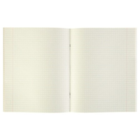 Subject Calligrata "Black-White", 48 sheets in a cell of physics, with reference material, covered paper cover, block No. 2, whiteness 75% (gray sheets)-1