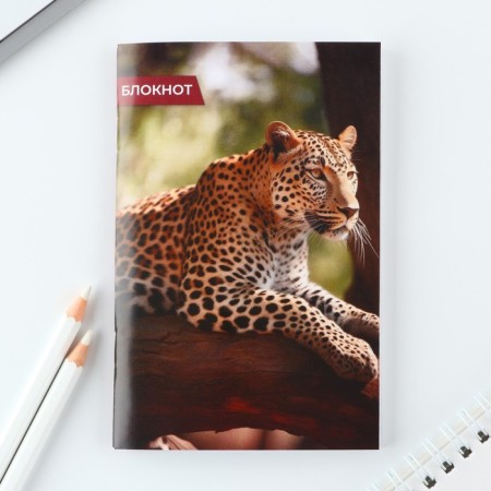 Mix of Notepad A6, 32 sheets "Animals"-4