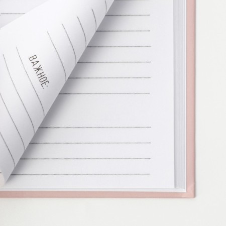 Diary in a solid cover A5, 80 L "Pink"-2
