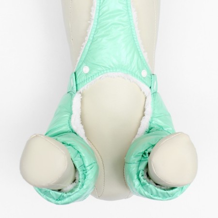 Complex-stroke for dogs, size M (DS 36, from 40 cm), mint-6