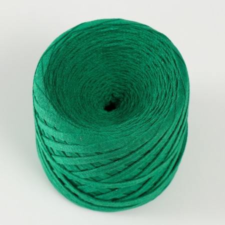 Ribbone yarn "Ribbon" 85m/170 ± 5 g (nephritis)-1