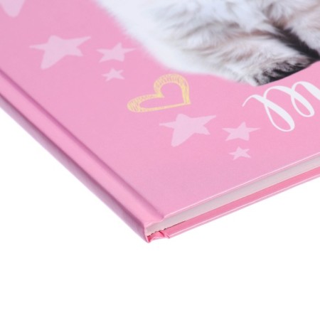 Diary for grades 5-11, "cat", solid cover 7BC, glossy lamination, 48 sheets-2
