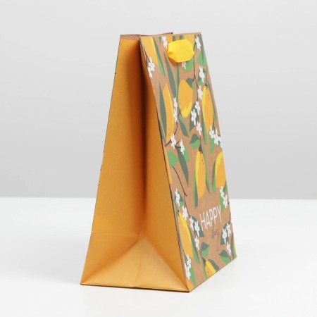 Package Gift Crafts Vertical, Packaging, Happy Day, MS 18 x 23 x 8 cm-1