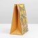 Package Gift Crafts Vertical, Packaging, Happy Day, MS 18 x 23 x 8 cm