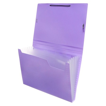 Folder Carder Calligrata watercolor 6 department. A4 plastic 0.7mm lavender, black resident-1
