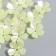 Beads for creativity plastic "Flower Pearl" set 40 pcs white 1.5x1.5 cm