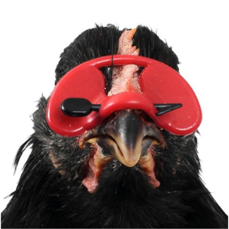Bird glasses with an arrow, set 25 pcs.-2