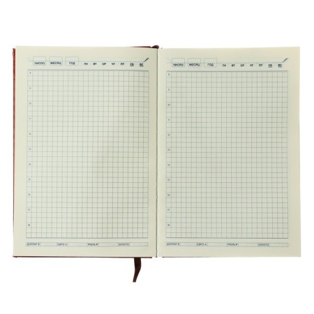 The diary is low, PVC cover, A5 format, 140 sheets in a cage, gold cut, mix-8