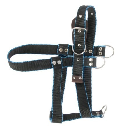 Khleka Kapronovaya Big Zononic, Osh 82 cm, OG 74-96 cm, width 3.5 cm, mix-1