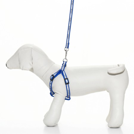 Sports set a reflective, leash 120 x 1 cm, fire 22-39 cm, mix of flowers-1