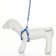 Sports set a reflective, leash 120 x 1 cm, fire 22-39 cm, mix of flowers