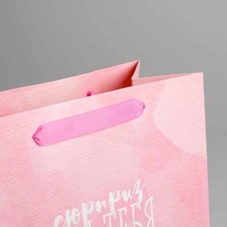 Gift laminated vertical, packaging, “Surprise for you”, Ml 23 x 27 x 11.5 cm-2