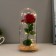 Spinker "Sobe with a scarlet rose" LED from batteries 3AAA 19.5x9.5x9.5 cm Risalux