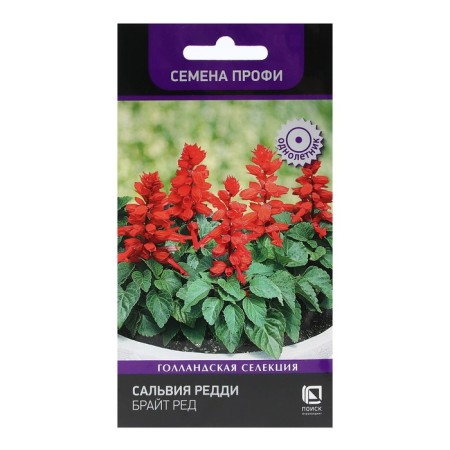 Flower seeds Salvia Reddy "Bright Red" 10 pcs