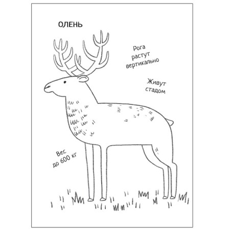 Cognitive coloring. In the forest-3