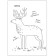Cognitive coloring. In the forest