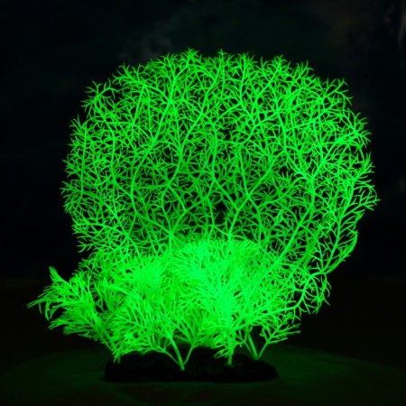 The artificial aquarium, luminous plant, 23 cm, green-4