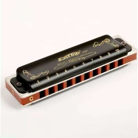 Diathonic harmonica Easttop T008K EB