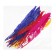 Calligrata Pen-Procation "Pero", ball, mix