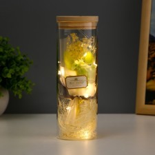 Nightlight 