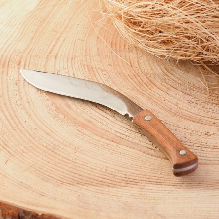 Souvenir "Nepal" 12.5cm, 80mm/2mm blade-1